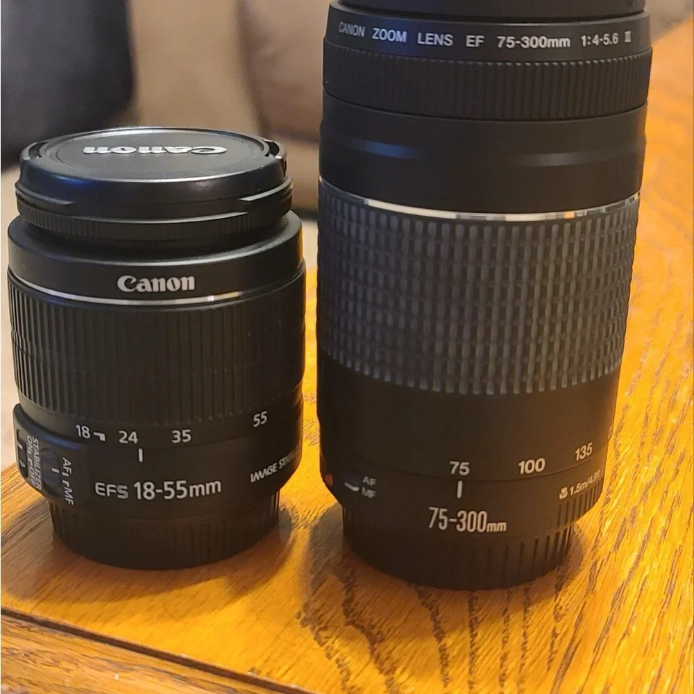 Canon Rebel T3 Camera with Lenses and Case